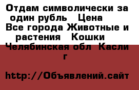 Отдам символически за один рубль › Цена ­ 1 - Все города Животные и растения » Кошки   . Челябинская обл.,Касли г.